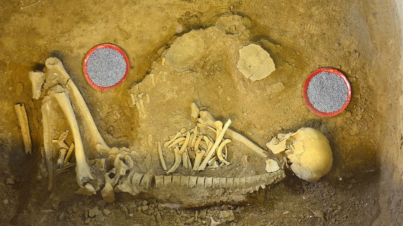 พิพิธภัณฑ์ยุคเหล็ก ตับรีซ การเดินทางสู่สุสานโบราณ